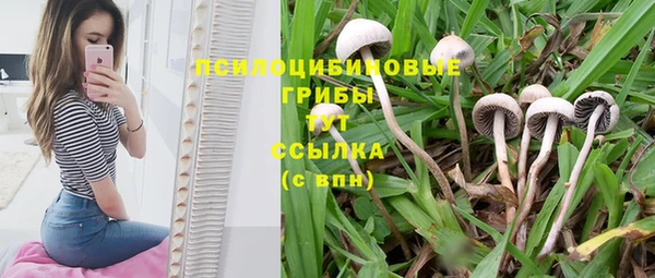 ГАЛЛЮЦИНОГЕННЫЕ ГРИБЫ Балабаново