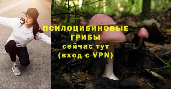 ГАЛЛЮЦИНОГЕННЫЕ ГРИБЫ Балабаново