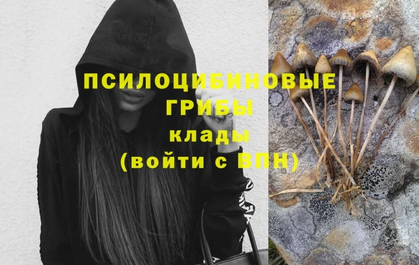 ГАЛЛЮЦИНОГЕННЫЕ ГРИБЫ Балабаново