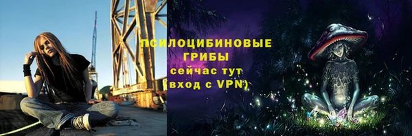 ГАЛЛЮЦИНОГЕННЫЕ ГРИБЫ Балабаново