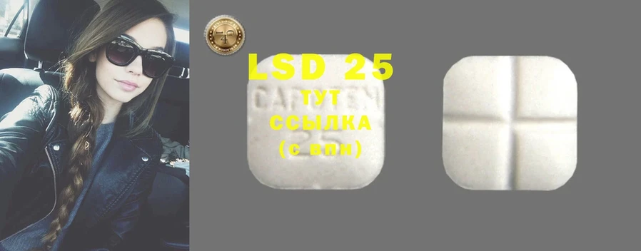 LSD-25 экстази кислота  гидра tor  Гаджиево  цена наркотик 