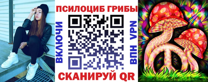Галлюциногенные грибы Cubensis Гаджиево